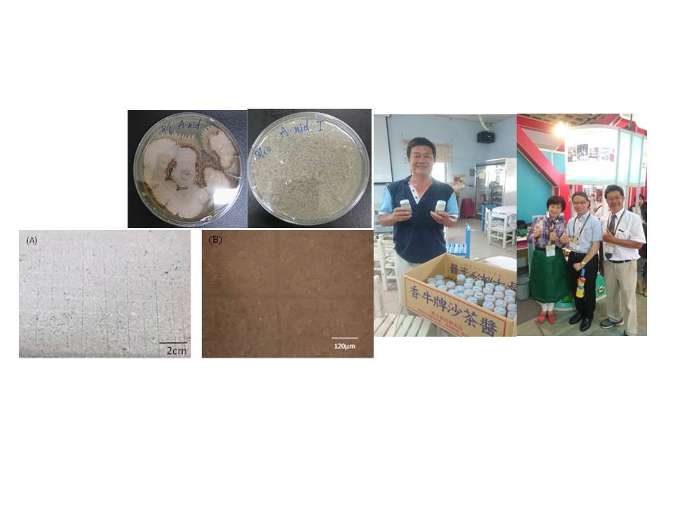 經濟部工業局中小企業即時技術輔導計畫6 經濟部工業局中小企業即時技術輔導計畫6