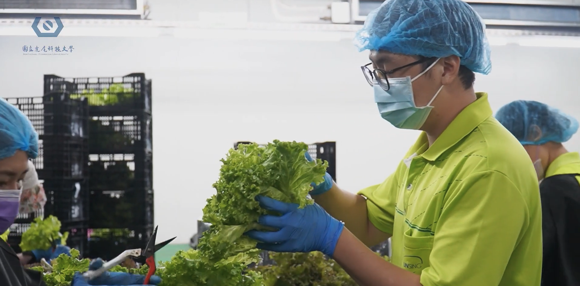 National Formosa University