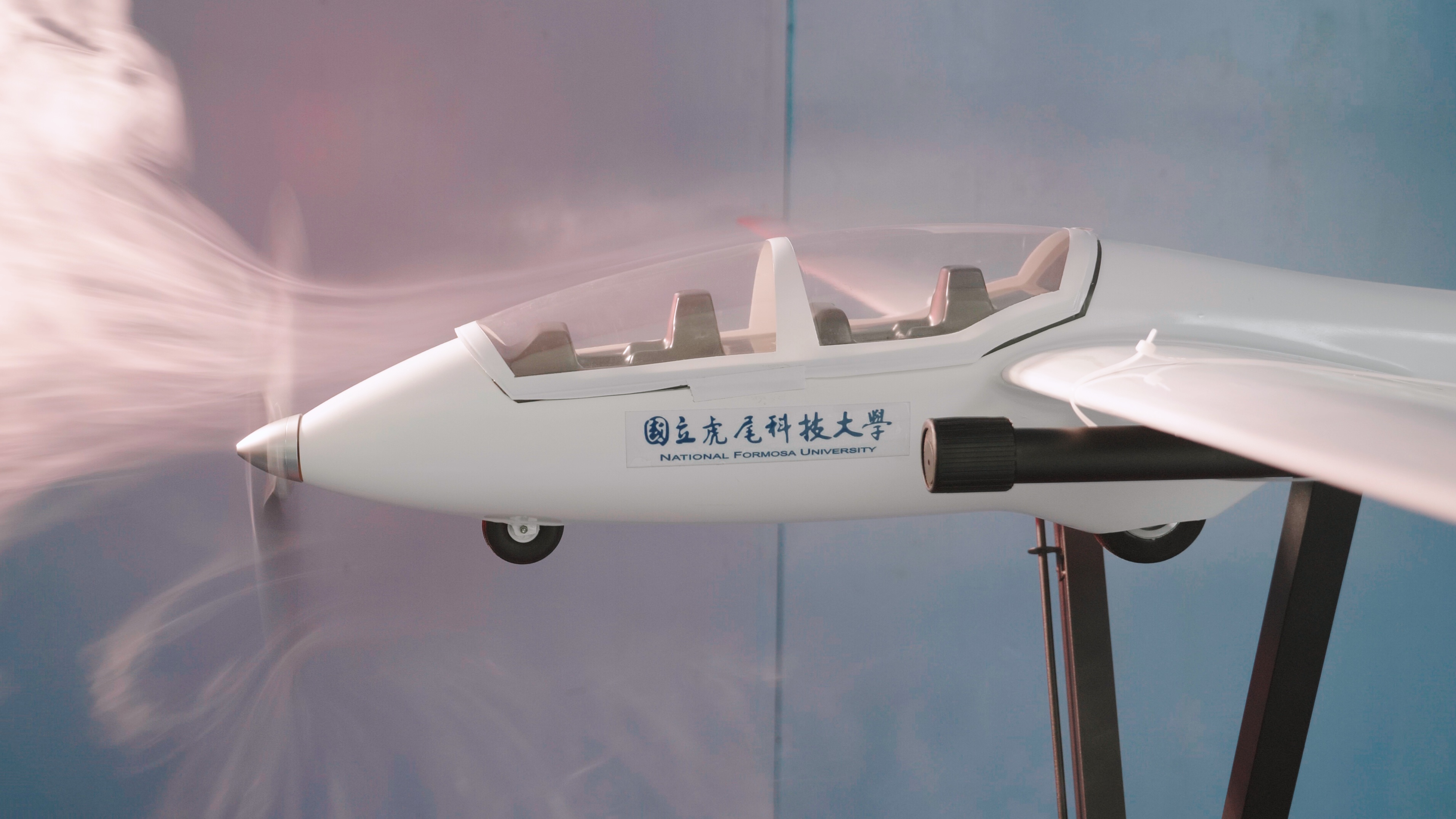 National Formosa University