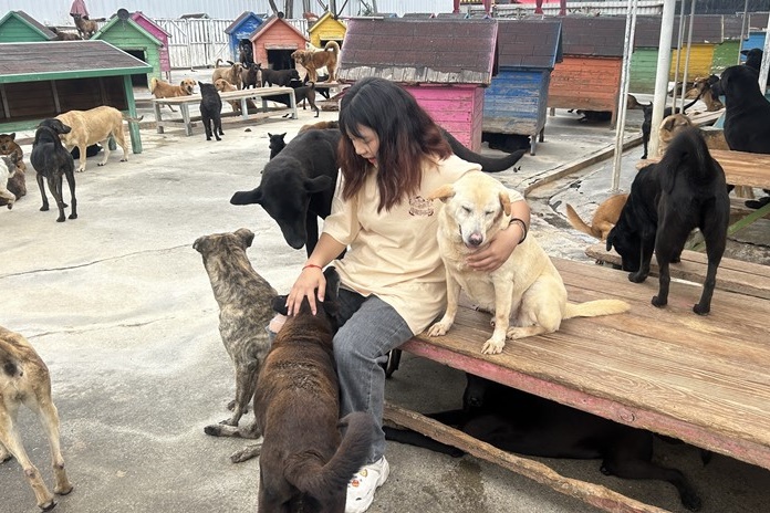 11406170927 3 11406170927 3